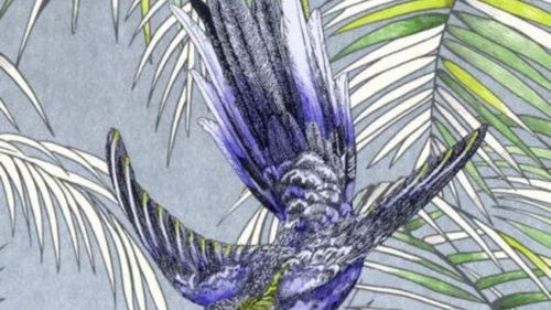 Sunbird W6543-01